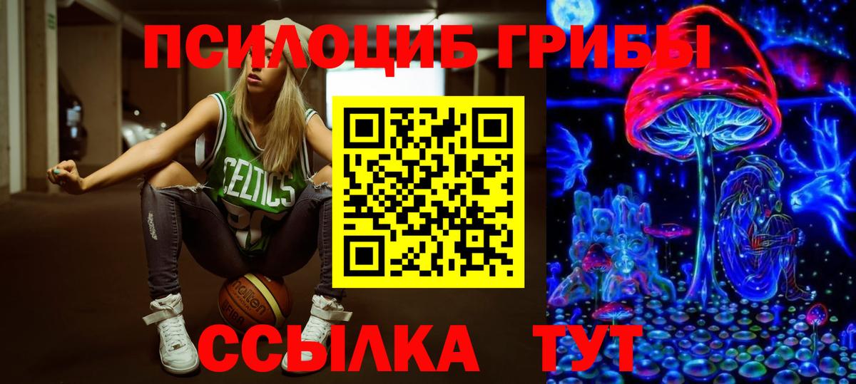 Галлюциногенные грибы Psilocybe  Вход с VPN  Галлюциногенные грибы Psilocybe  Новоуральск 