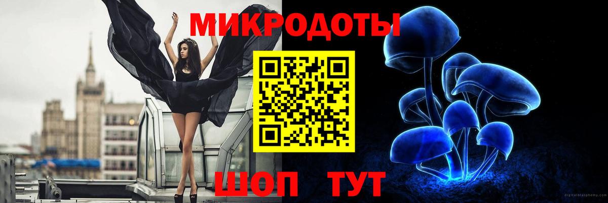 Псилоцибиновые грибы прущие грибы Новоуральск